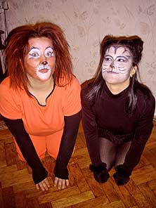 Cats