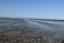 Море
