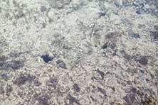 Море