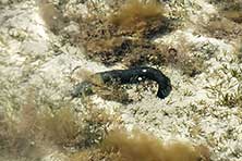 Море