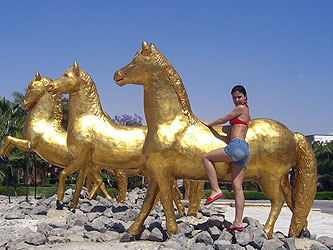 Golgen 5