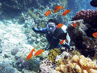 Подружилась с красными рыбками Дайвинг