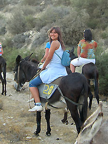 Ослики