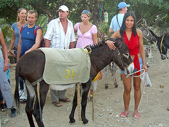 Ослик
