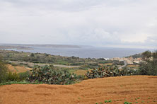 Gozo