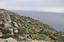 Mdina