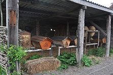 Влаардинген
