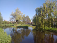 Влаардинген