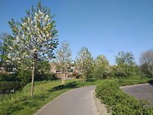 Влаардинген