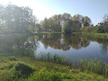 Влаардинген