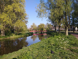 Влаардинген
