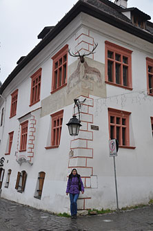 Сигишоара
