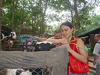 Khao Kheo