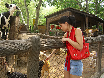 Khao Kheo