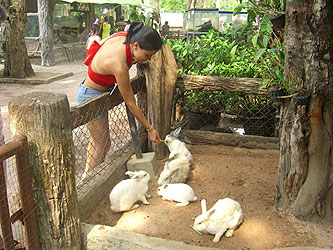 Khao Kheo