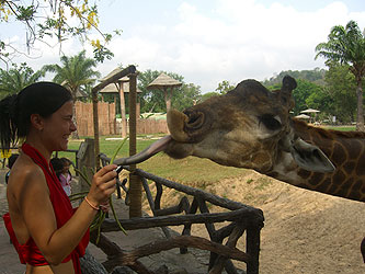 Khao Kheo