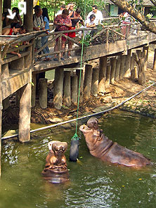Khao Kheo