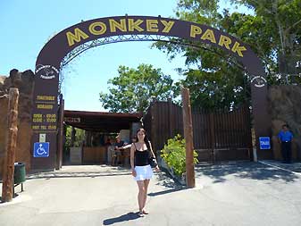 Monkey-park
