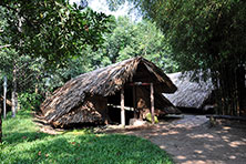 Кути