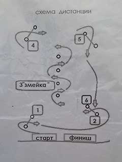 Фестиваль