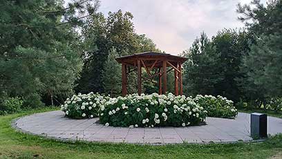 Тренировка
