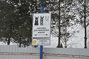 Альпаки