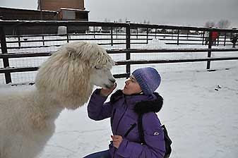 Альпаки