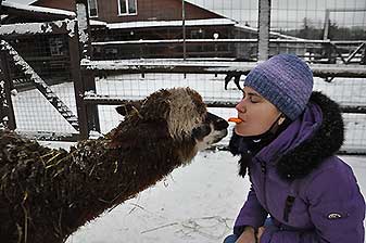 Альпаки
