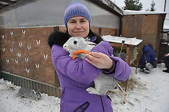Альпаки