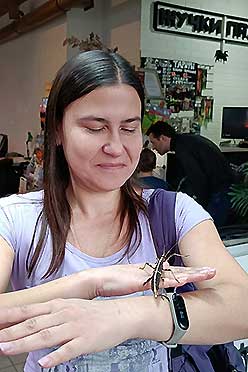 ЖучкиПаучки