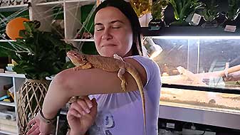 ЖучкиПаучки