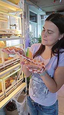 ЖучкиПаучки