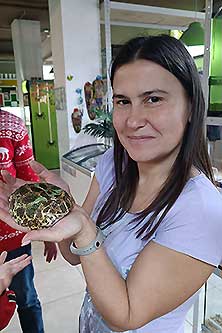 ЖучкиПаучки