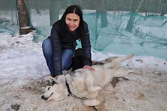 Хаски