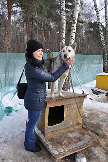 Хаски