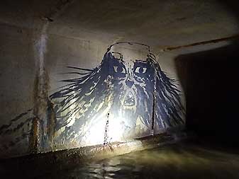 Коллектор