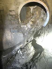 Коллектор