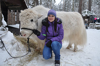 Ковчег