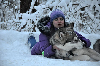 Ковчег