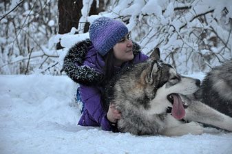 Ковчег