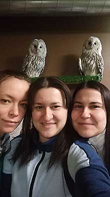 Owldom