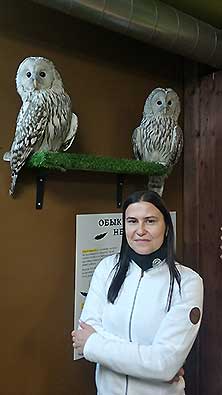 Owldom