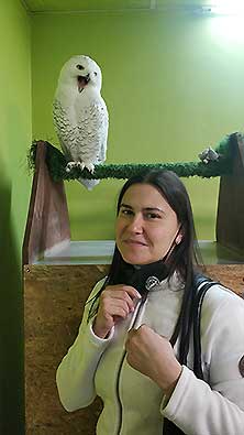 Owldom