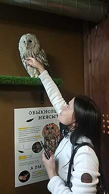 Owldom