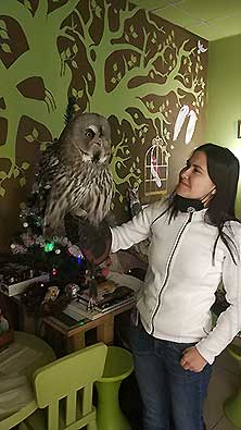 Owldom