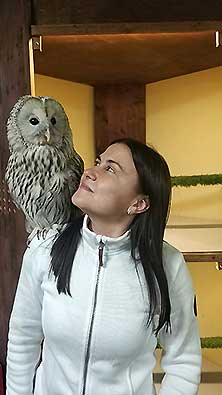 Owldom