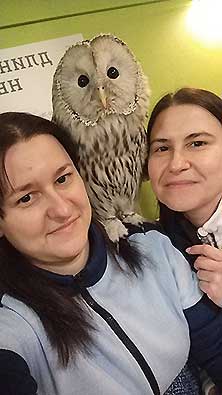 Owldom