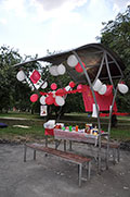 Пионеры