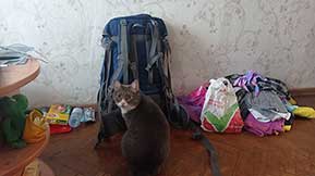 Сплав