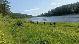 Сплав